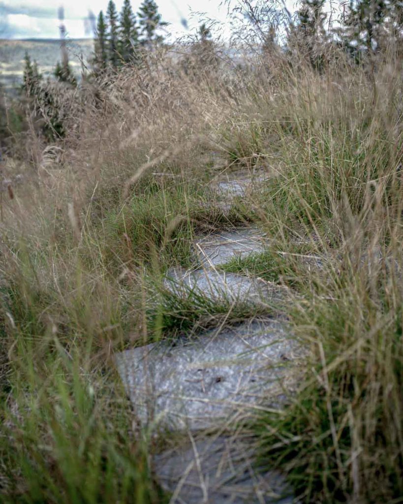 A path of stepping stones in brown slate over a lush meadow. The slate slabs are old roofing slate that are being reused.