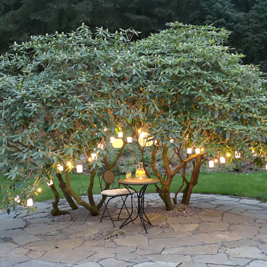 Two large Rhododendrons with lanterns. The surrounding area is covered with gray flagstones laid in gravel.