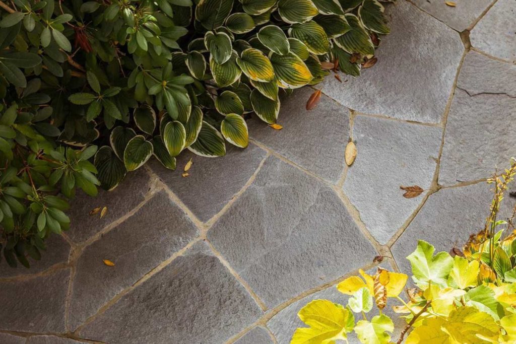 A close-up of flagstones in Offerdal quartzite slate sourrounded by greenery. 