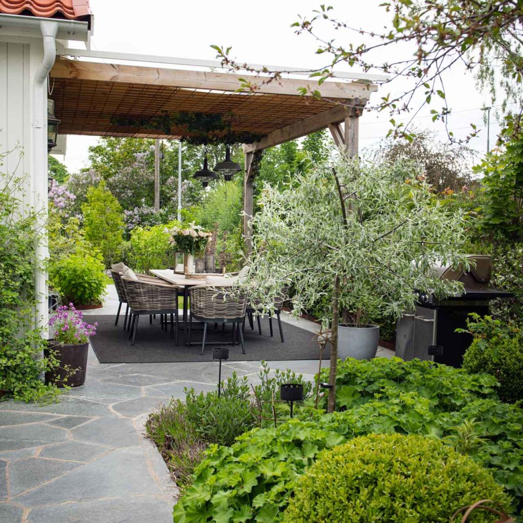 En stor terrasse med pergola belagt med bruddheller av Offerdalskifer. Det er frodig beplantning rundt hageplattingen.
