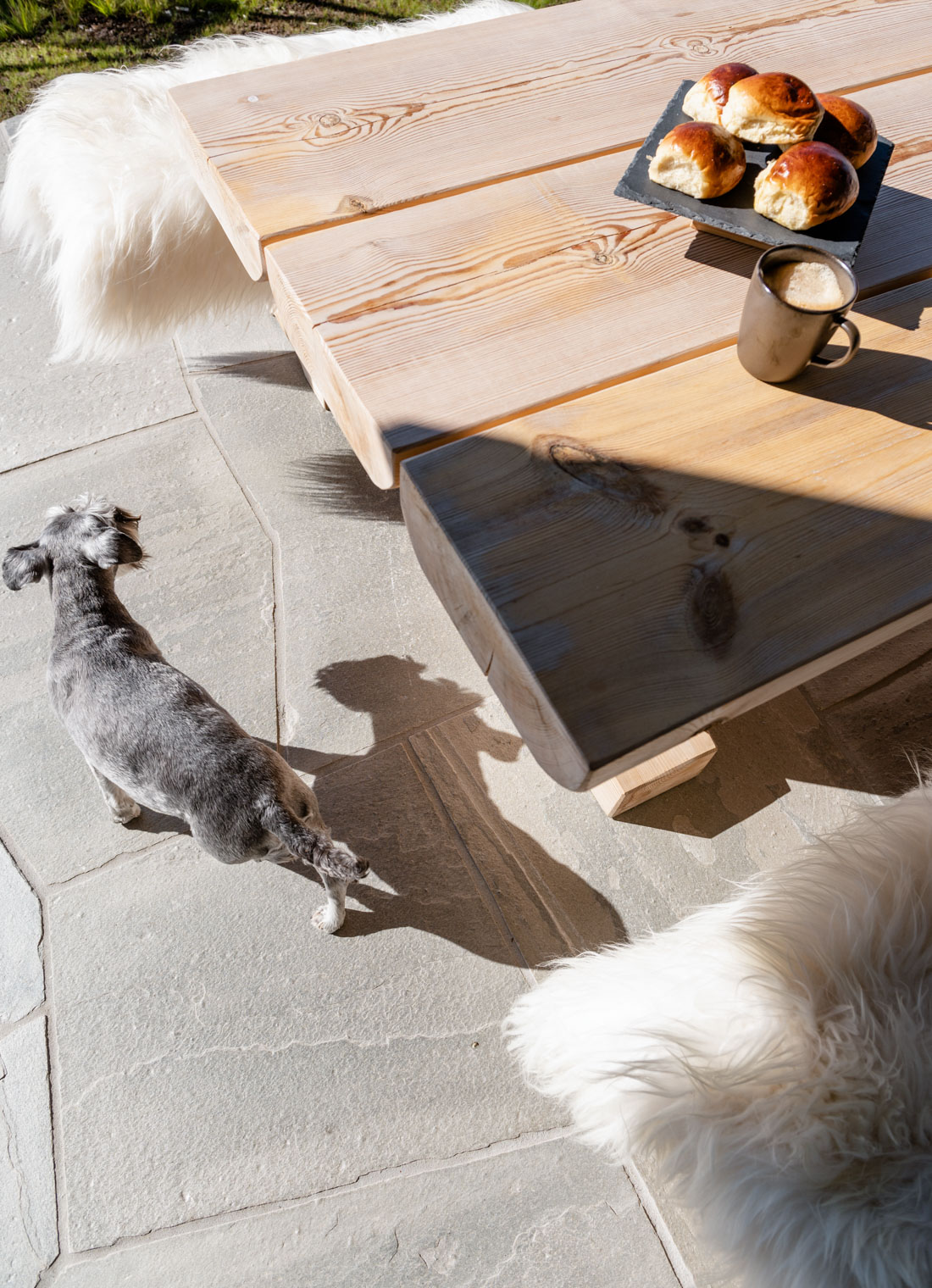 Et bilde ovenfra over et tømmerbord medet fat med boller og en hund som står på terrassen med bruddskifer